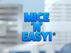 Mice ‘n’ Easy!