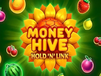 Money Hive Hold ‘N’ Link