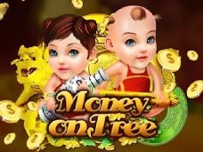 Money on Tree