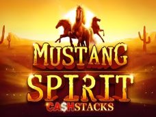 Mustang Spirit Cash Stacks