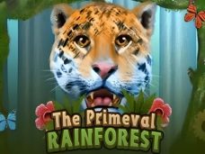 The Primeval Rainforest
