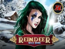 Reindeer Wild Wins XL