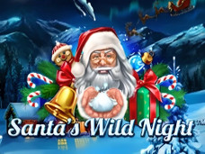 Santa’s Wild Night
