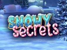 Snowy Secrets