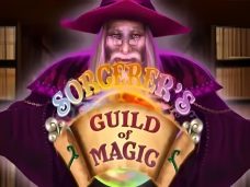 Sorcerers Guild of Magic