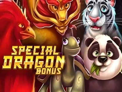 Special Dragon Bonus