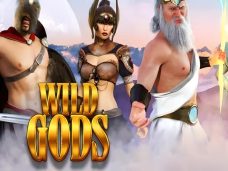 Wild Gods
