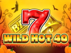 Wild Hot 40 Halloween