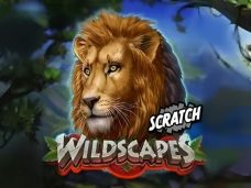 Wildscapes Scratch