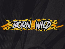 Born Wild Slot Featured Image