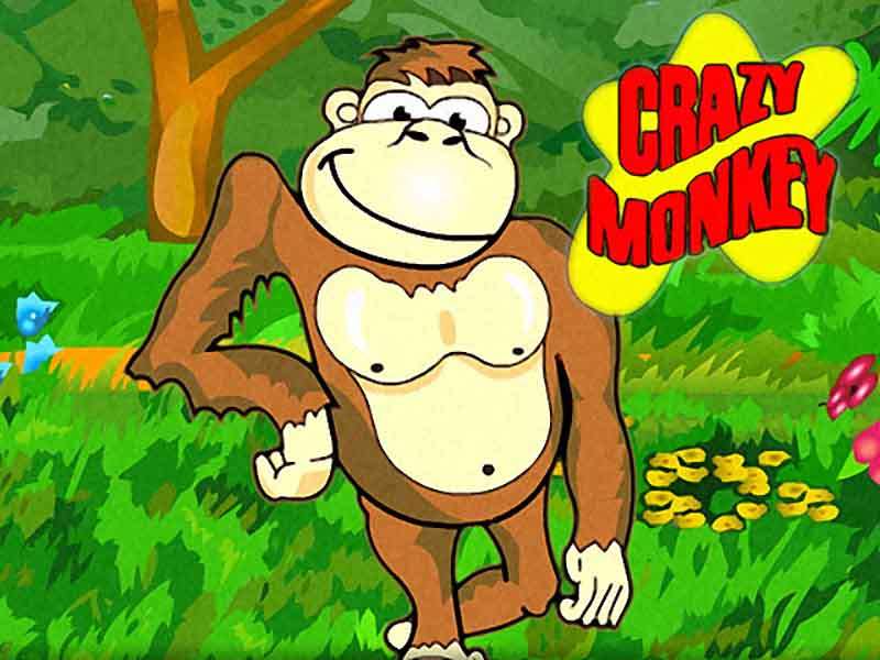 Crazy monkey игровой автомат обезьянка максбет бонус