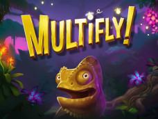 Multifly Slot Featured Image