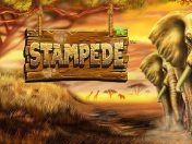 Stampede Slot Featured Image