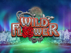 Wild Flower Slot Online