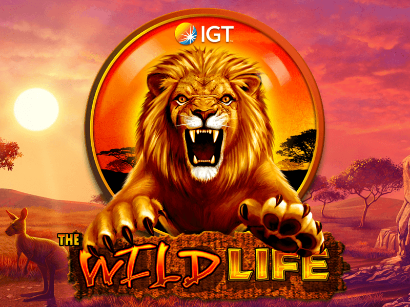Wild Life Download
