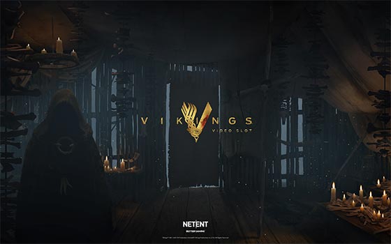 Vikings Video Slot Overview Logo